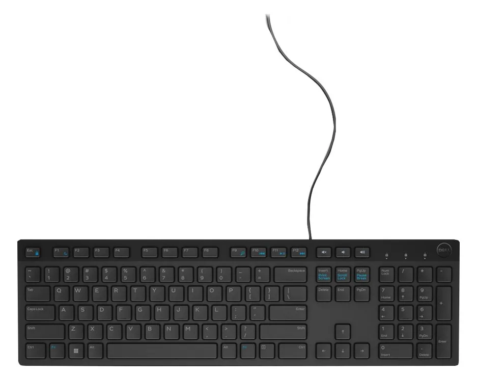 Dell KB216 - Tastatur - USB - Schwarz - TL: UK, QWERTY, Ansicht 5