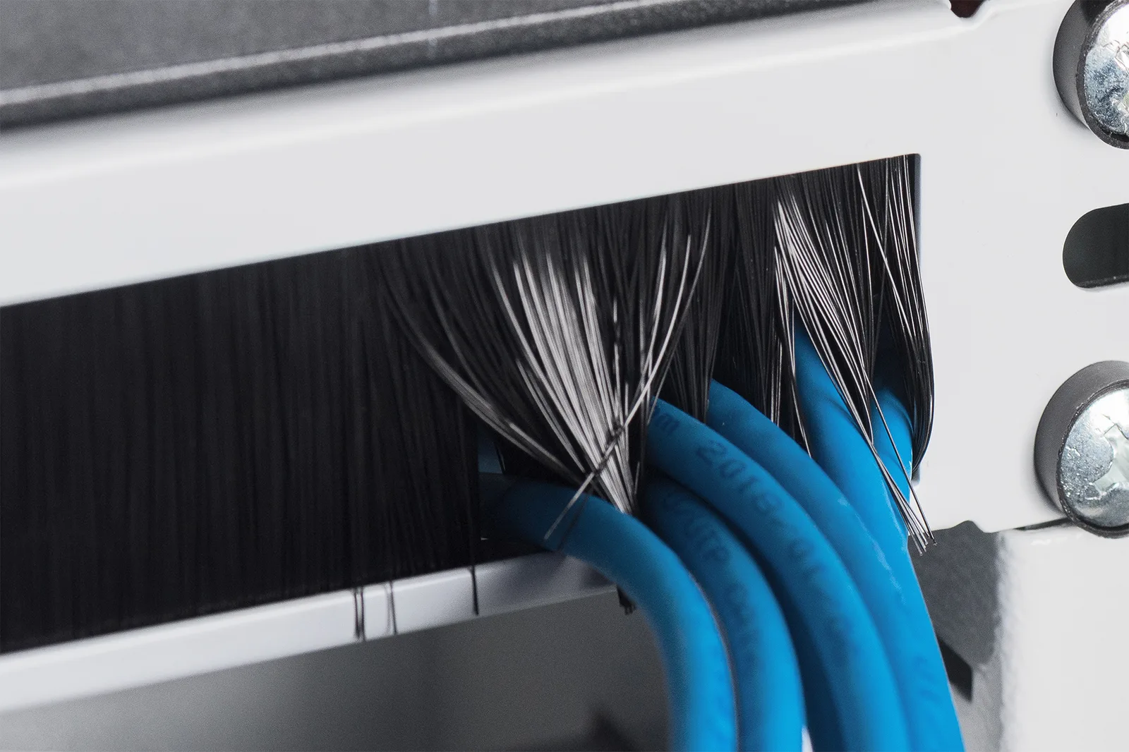 DIGITUS Kabelbürstenleiste für 483 mm (19)-Schränke - grau, Ansicht 4