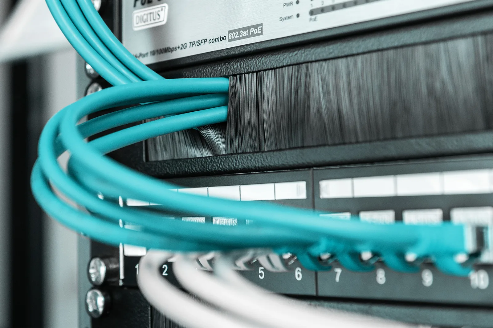 DIGITUS Kabelbürstenleiste für 483 mm (19)-Schränke - schwarz, Ansicht 2