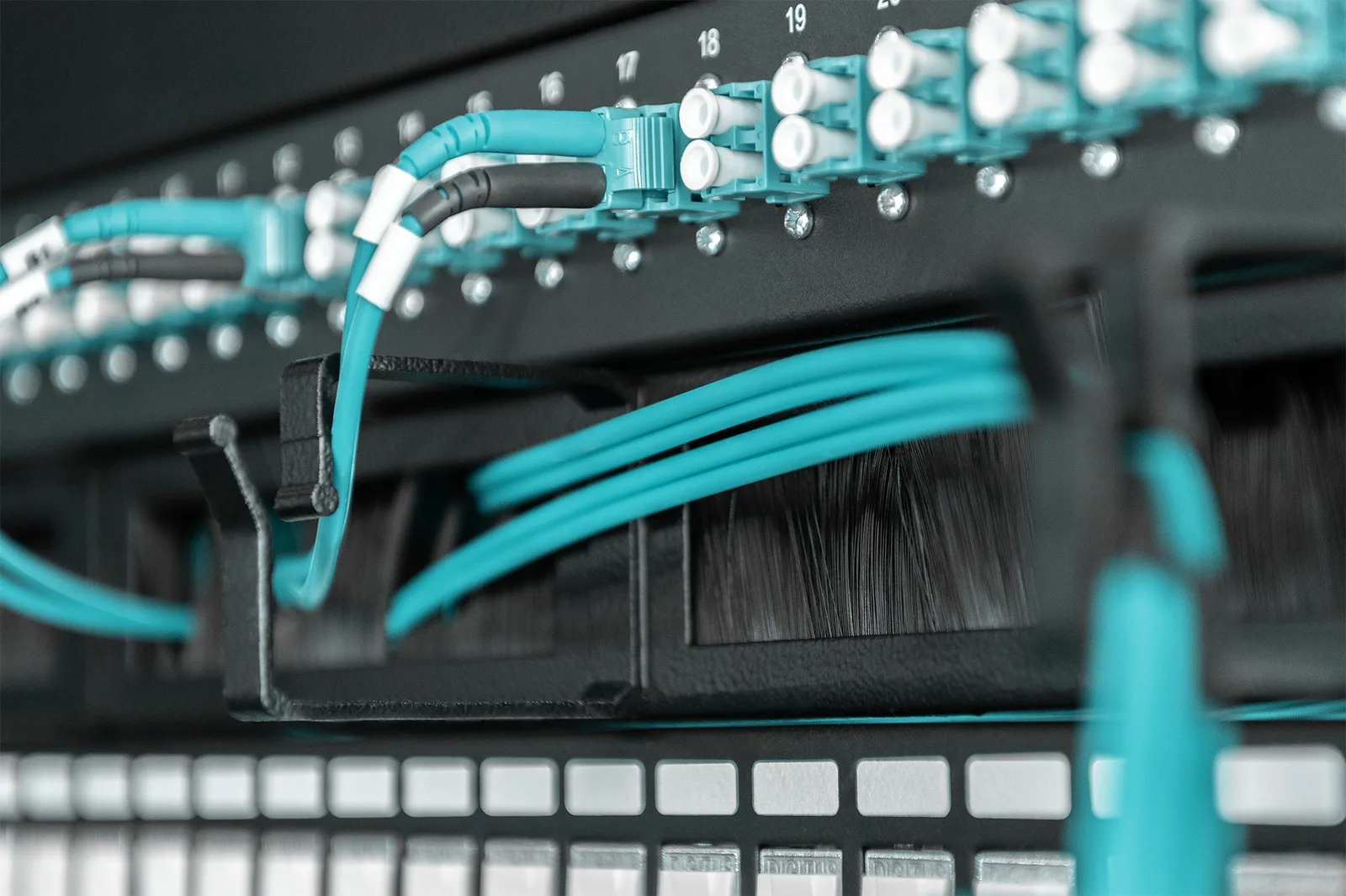 DIGITUS Kabelrangierpanel mit Bürstenleisten für 483 mm (19)-Schränke, 1HE - schwarz, Ansicht 2