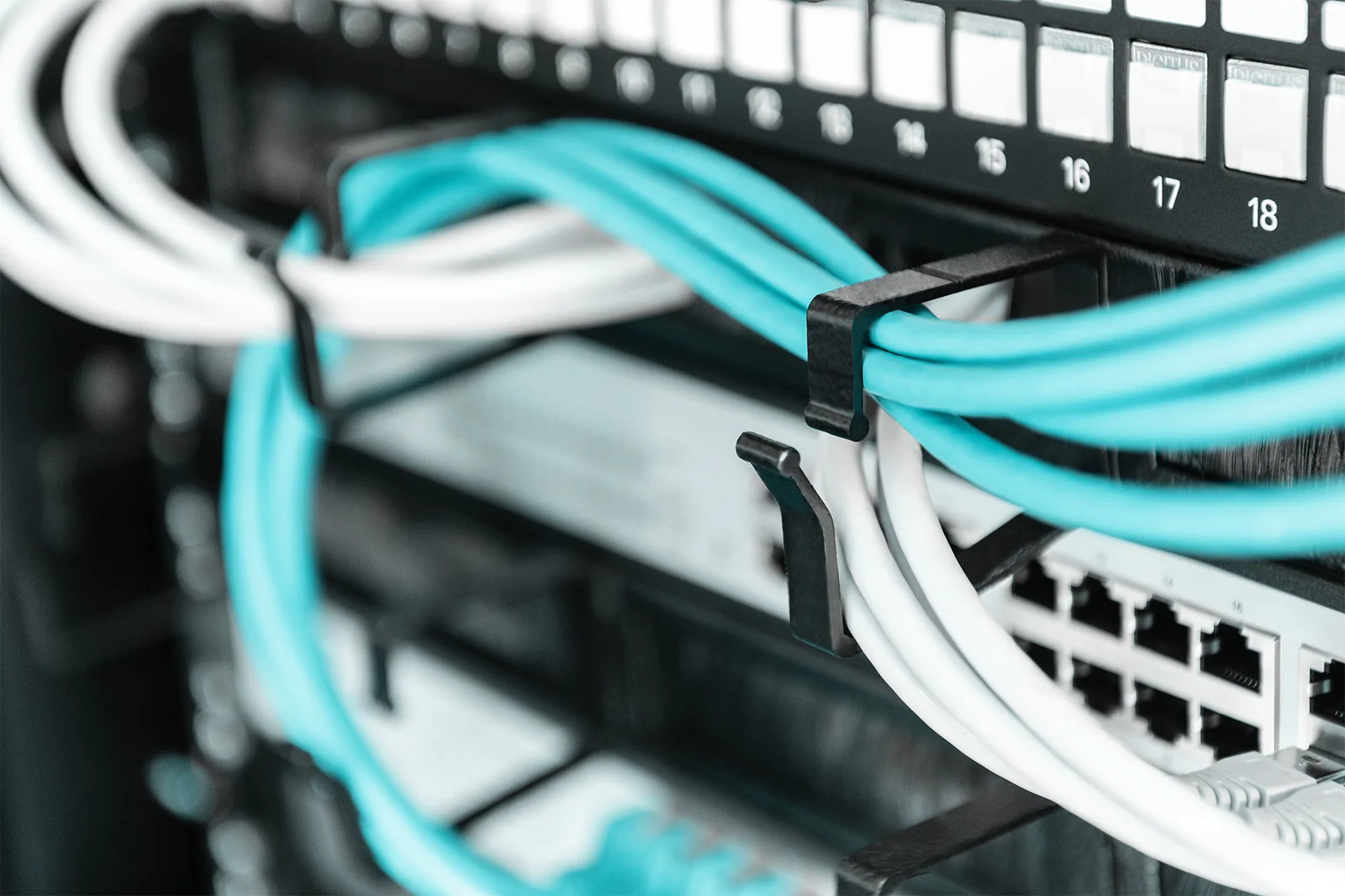 DIGITUS Kabelrangierpanel mit Bürstenleisten für 483 mm (19)-Schränke, 1HE - schwarz, Ansicht 3
