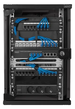 DIGITUS Wandgehäuse 254 mm (10) - 312x300 mm (BxT) - schwarz, Ansicht 2