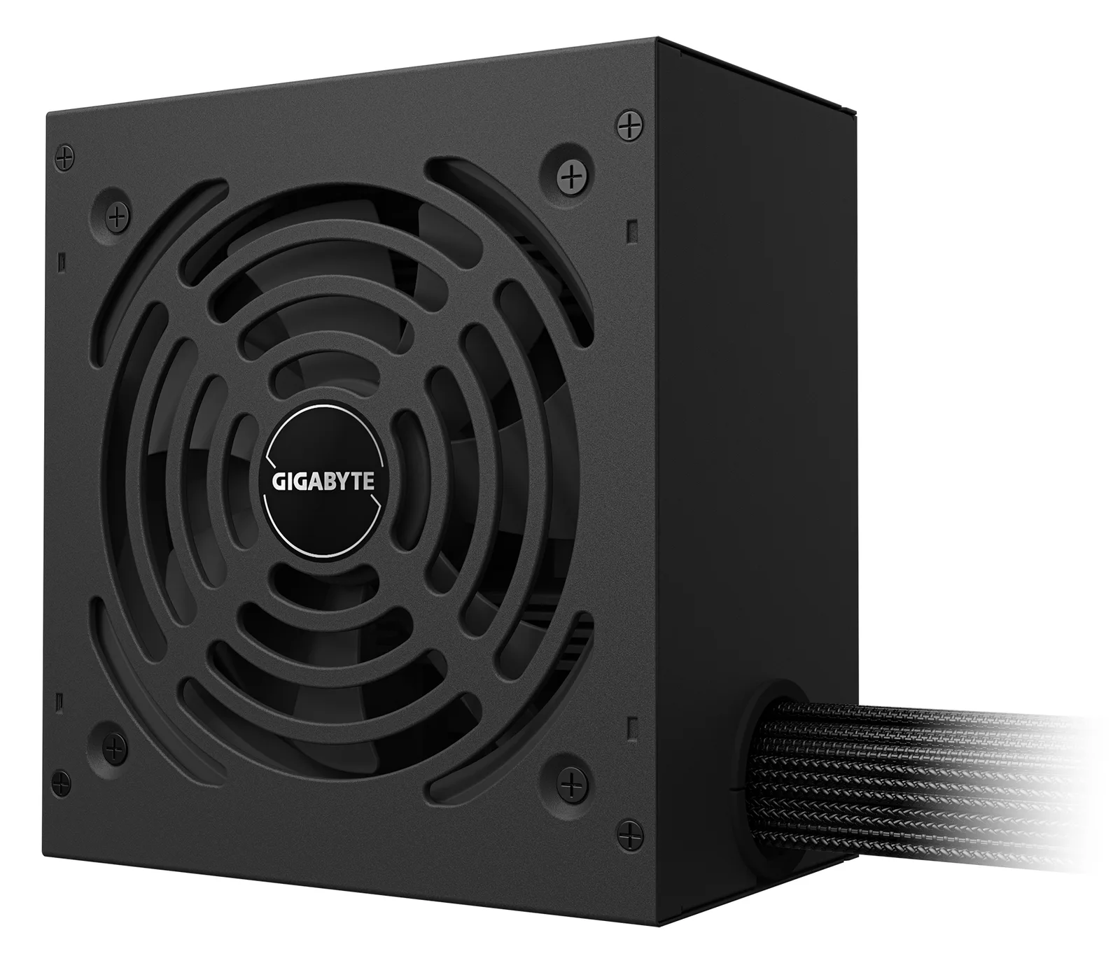 Gigabyte P650G - Netzteil (intern) - ATX12V 3.1/ EPS12V, Ansicht 2