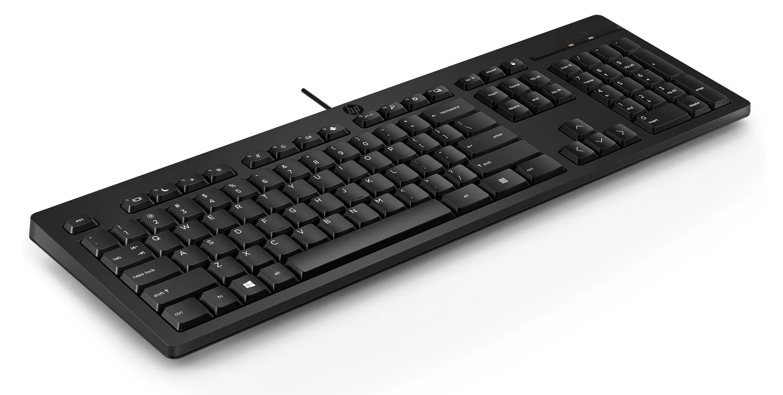 HP 125 - Tastatur - USB - für HP 245 G9, 295 G8 - TL: Niederländisch, QWERTY, Ansicht 2