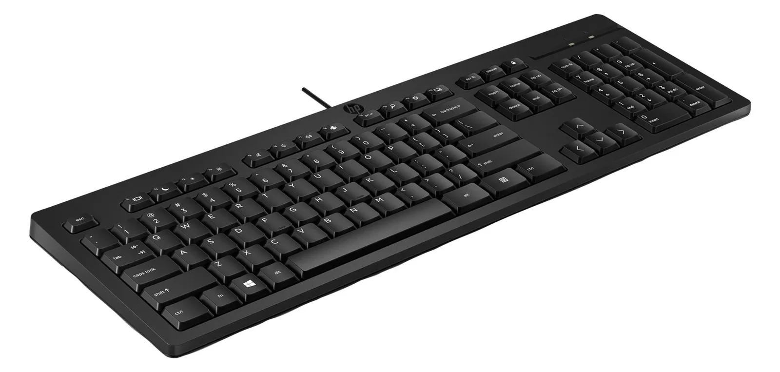 HP 125 - Tastatur - USB - für HP 295 G8 - TL: Spanisch, QWERTY, Ansicht 5