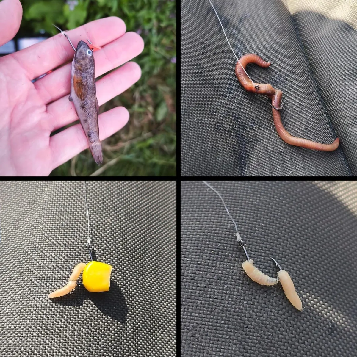 Paradox Fishing Allround-Angelhaken mit Öhr I 100 Stück #10/#8/#6/#4/#2 - je 20 Stück I Angelhaken Set für Karpfen, Forelle etc. — Bild 3