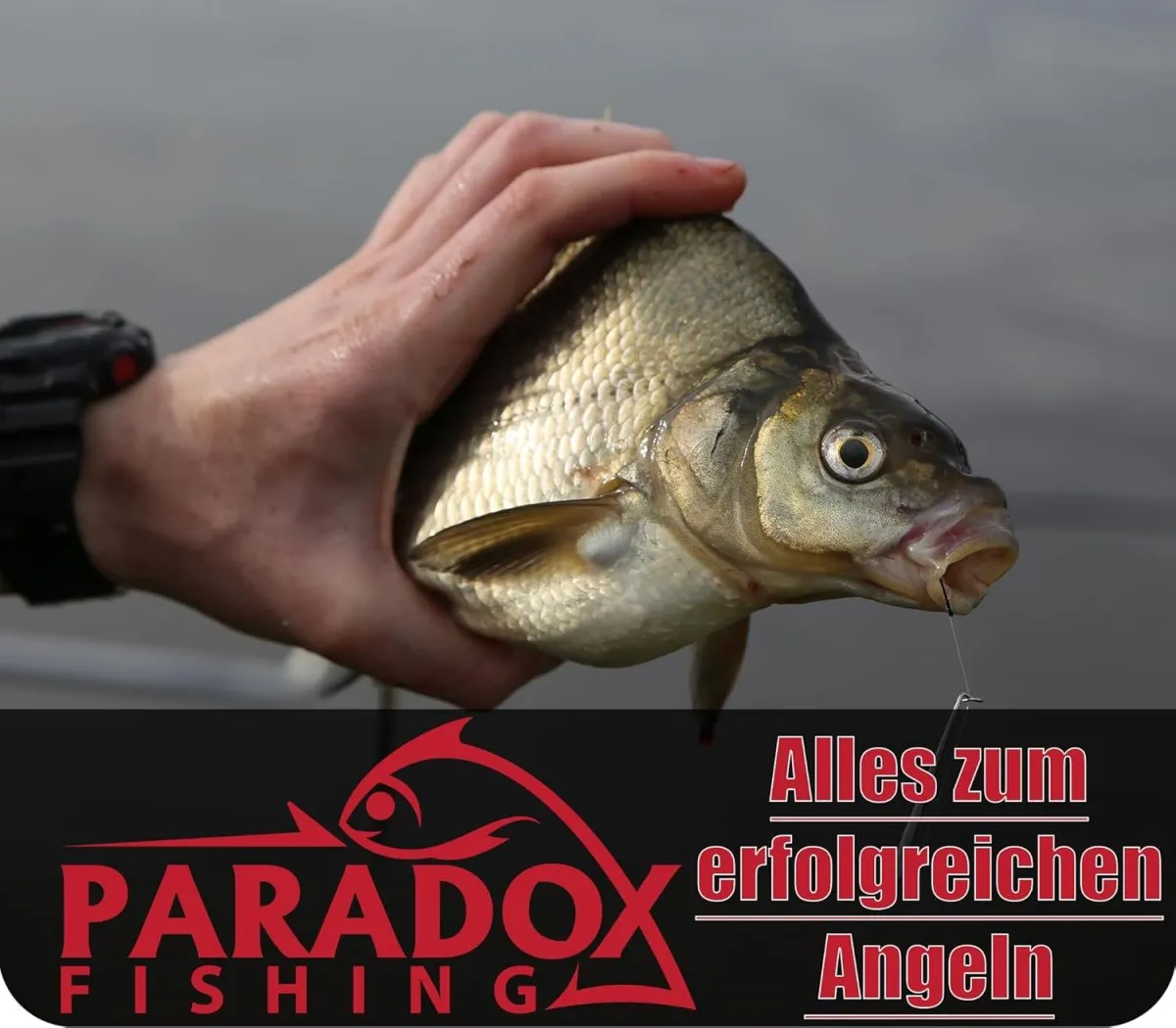 Paradox Fishing Allround-Angelhaken mit Öhr I 100 Stück #10/#8/#6/#4/#2 - je 20 Stück I Angelhaken Set für Karpfen, Forelle etc. — Bild 4