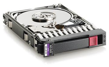 HPE Dual Port Enterprise - Festplatte - 300 GB - 2.5 SFF (6.4 cm SFF) von LumaTech