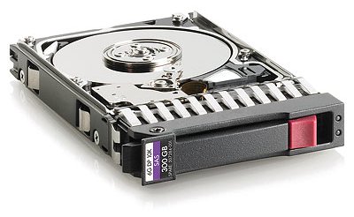 HPE Dual Port Enterprise - Festplatte - 300 GB - 2.5 SFF (6.4 cm SFF)