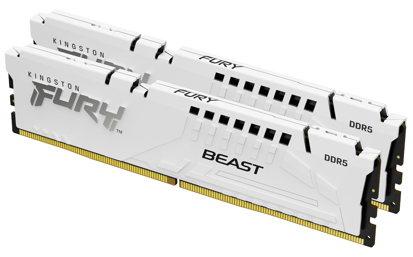 Kingston FURY Beast - DDR5 - Kit - 32 GB: 2 x 16 GB von LumaTech