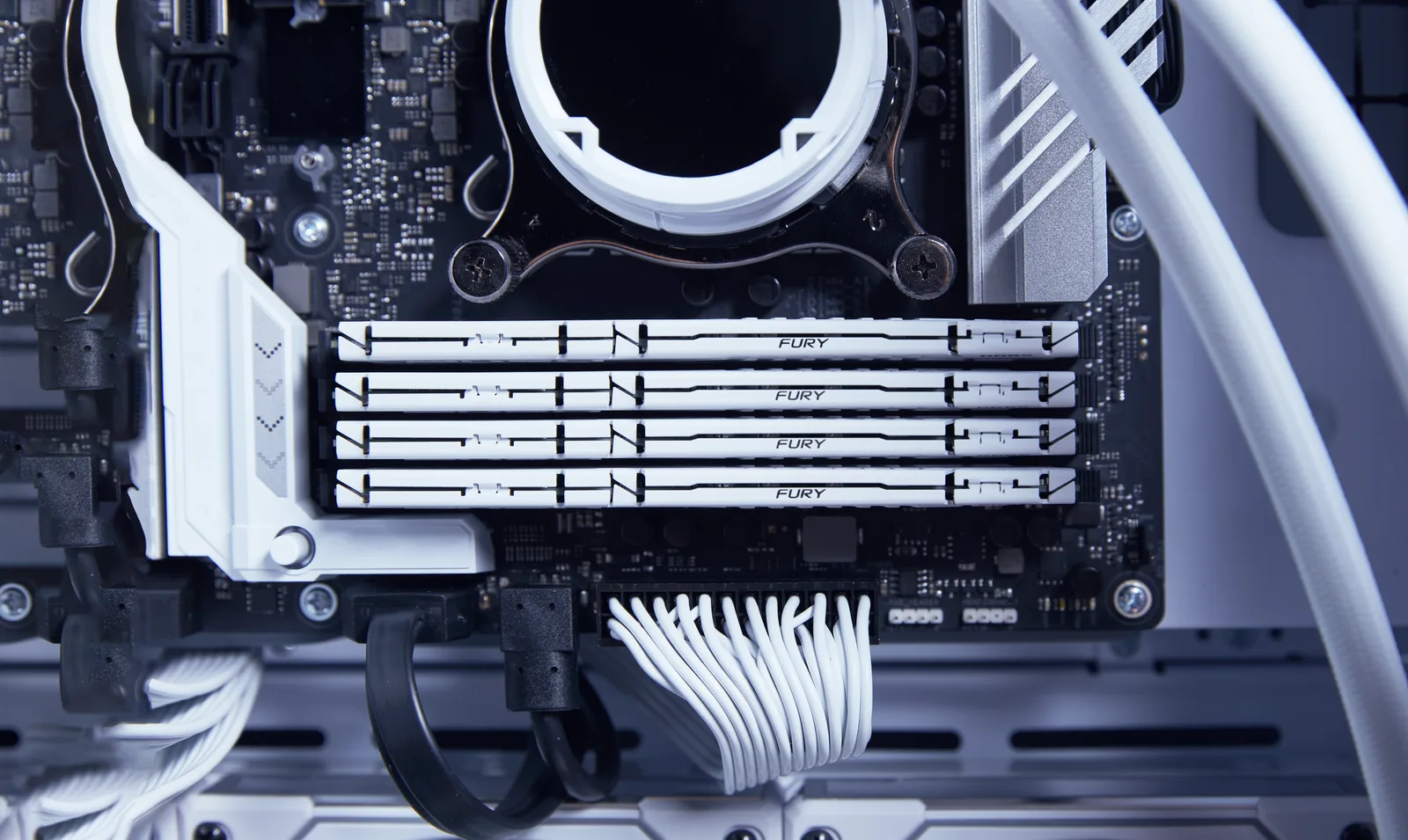 Kingston FURY Beast - DDR5 - Kit - 32 GB: 2 x 16 GB - weiß 6000 MHz 36, Ansicht 2