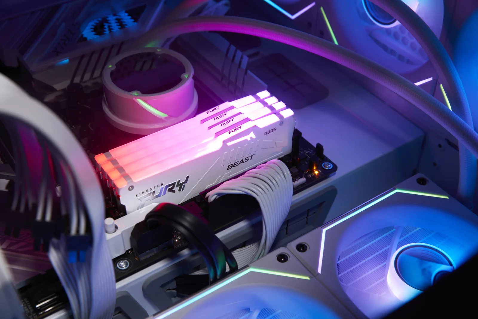 Kingston FURY Beast RGB - DDR5 - Kit - 32 GB: 2 x 16 GB - 6000 MHz 36 Non-ECC, Ansicht 2