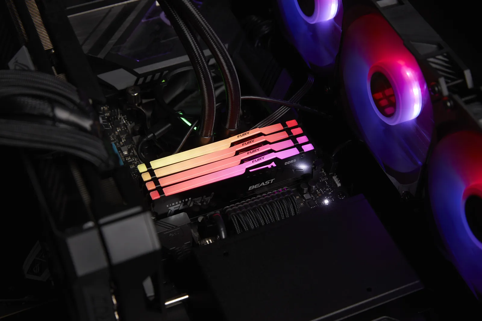 Kingston FURY Beast RGB - DDR5 - Kit - 64 GB: 2 x 32 GB - 6000 MHz 36 1.35 V, Ansicht 3