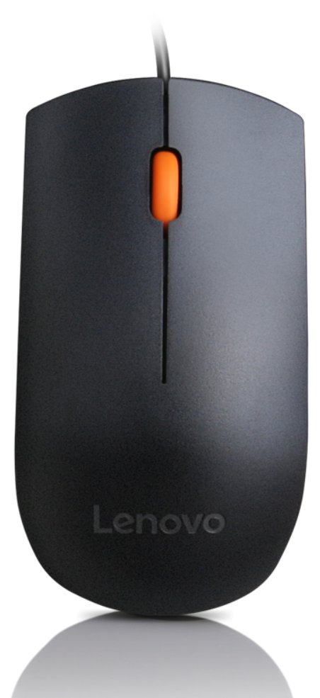 Lenovo 300 - Maus - rechts- und linkshändig - kabelgebunden