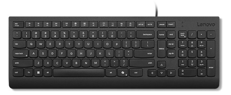 Lenovo Essential - Tastatur - USB - TL: Nordisch, QWERTY