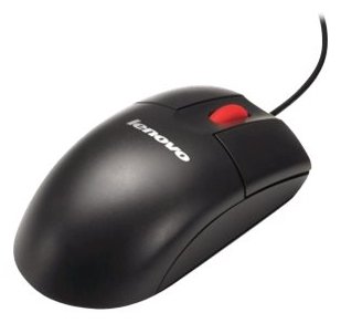Lenovo Maus - optisch - kabelgebunden - USB
