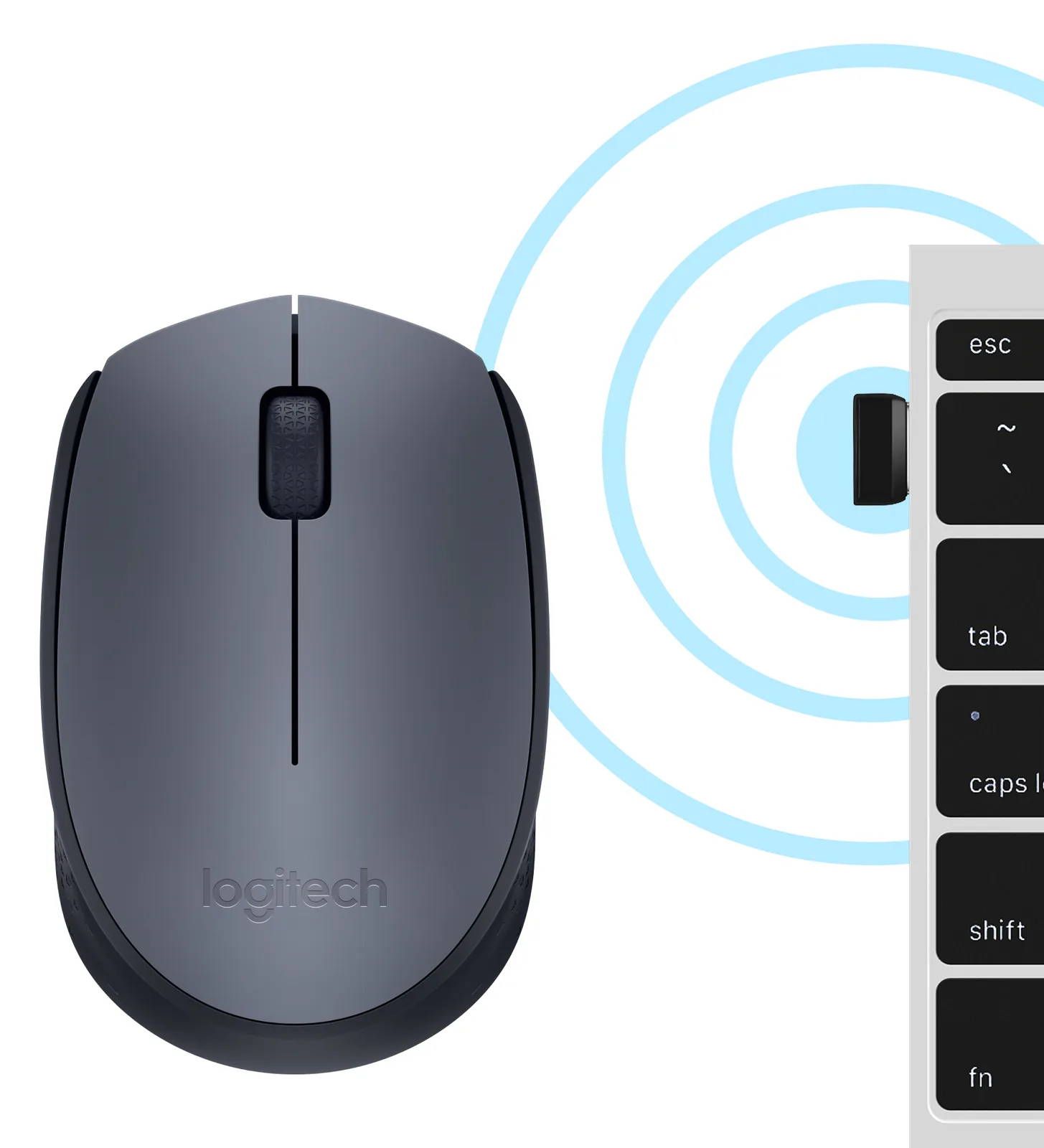 Logitech M170 - Maus - kabellos - 2.4 GHz - kabelloser Empfänger (USB), Ansicht 4