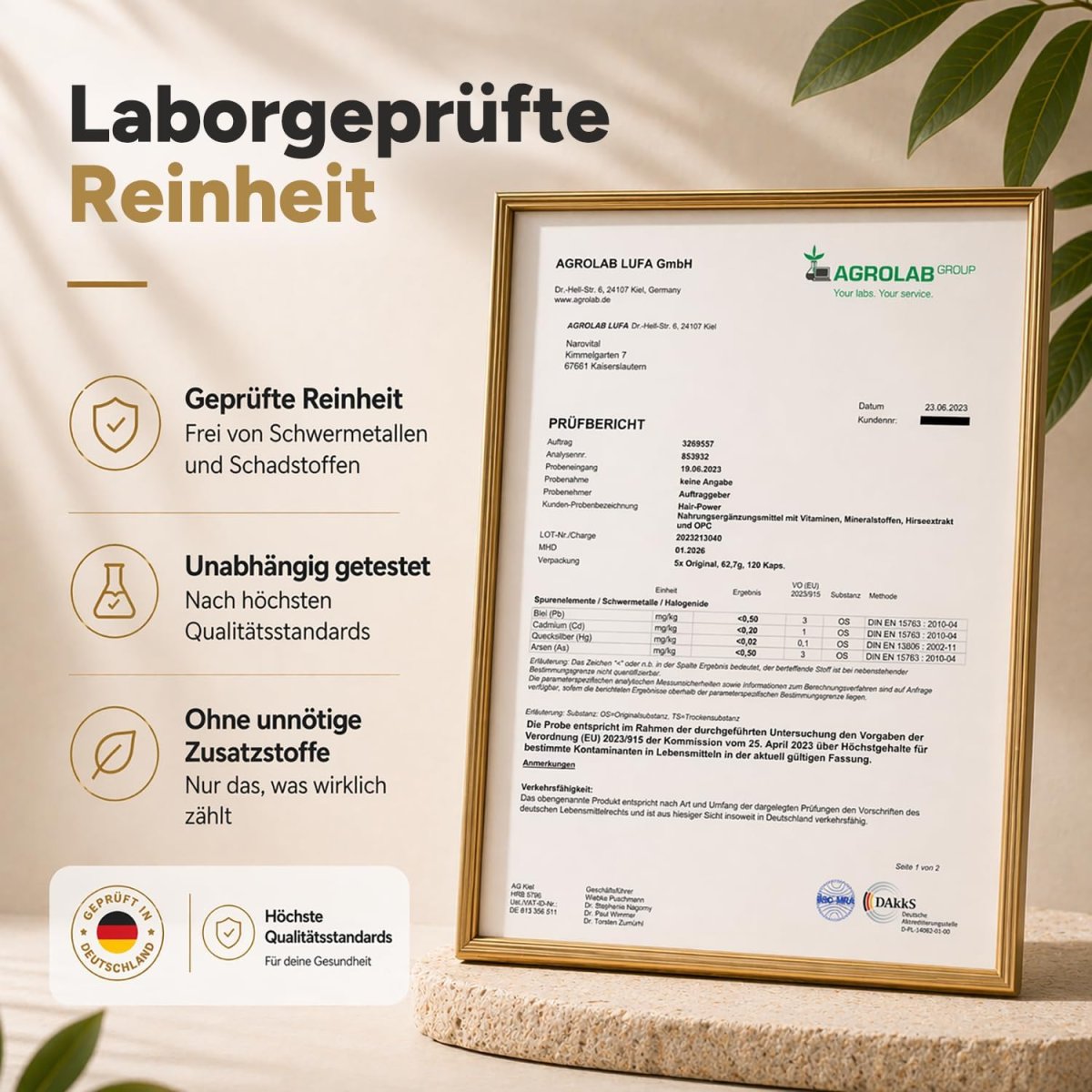 Haar Vitamine Haarausfall - 120 Kapseln I Hochdosiert mit Biotin, Zink, Selen, OPC, Hirse-Extrakt (reich an Silizium und Kieselerde) ohne chemische Haarwuchsmittel I Haarvitamine für Haar- & Bartwuchs — Bild 6