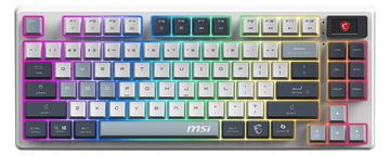 MSI Forge GK600 TKL W Sky Gaming Keyboard Wireless - TL: Deutsch, QWERTZ von LumaTech
