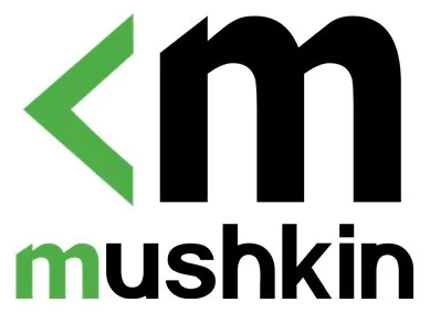 Mushkin Essentials - DDR4 - Modul - 16 GB - SO DIMM 260-PIN, Ansicht 2