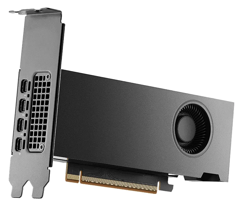 PNY Nvidia Rtx Pro 2000 Blackwell - Grafikkarte - PCI-Express, Ansicht 3