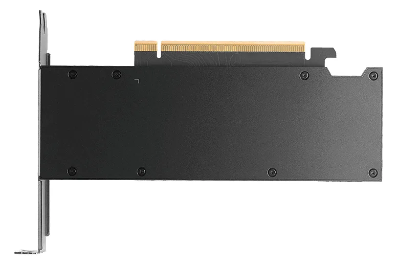 PNY Nvidia Rtx Pro 2000 Blackwell - Grafikkarte - PCI-Express, Ansicht 4