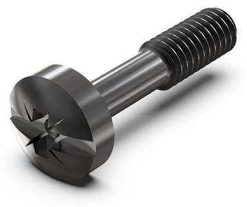 SCHROFF SCREW COLL.B.M2.5X12.3(100X) von LumaTech