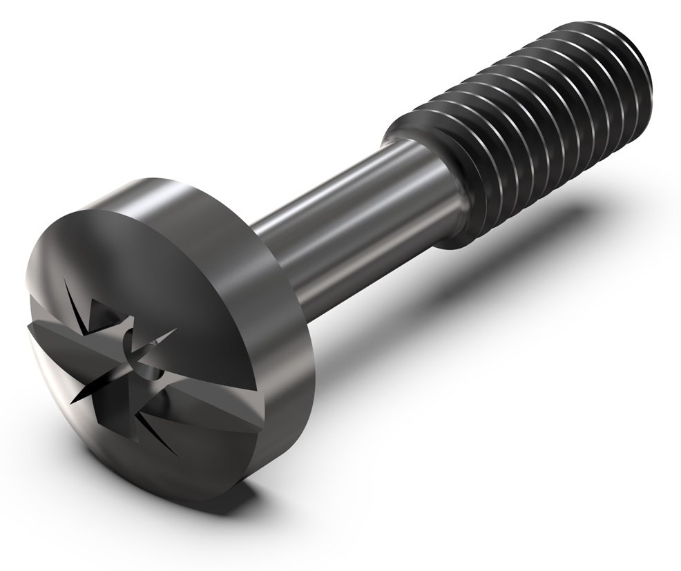 SCHROFF SCREW COLL.B.M2.5X12.3(100X) von LumaTech