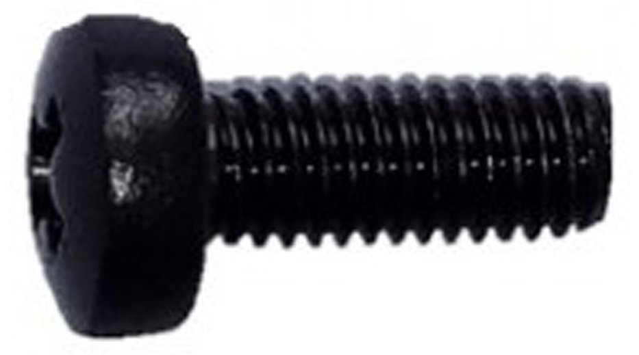 SCHROFF SCREW POSI. PAN M6 X 16MM (100 PCS/KIT) von LumaTech