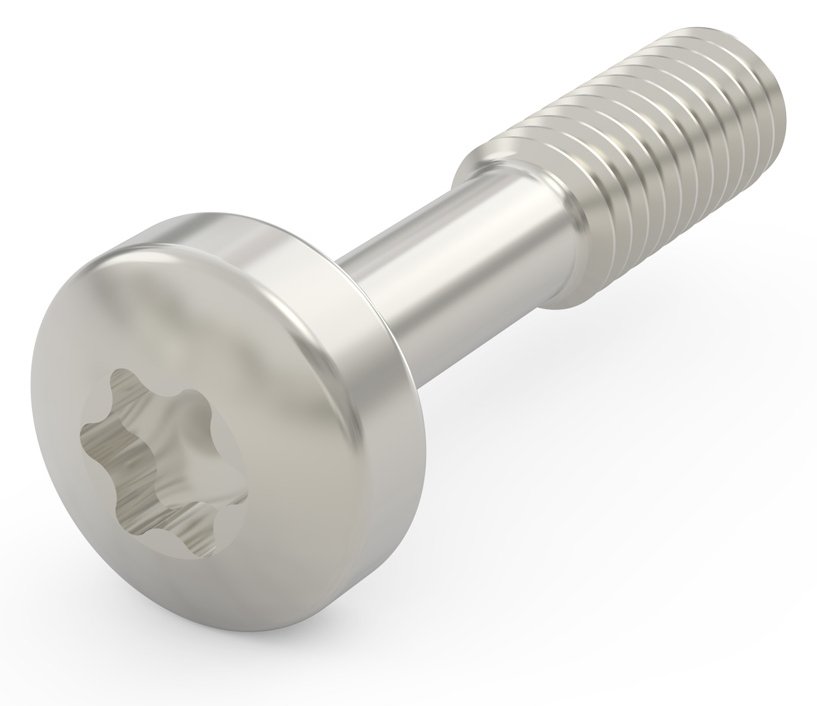 SCHROFF SCREW TORX COL.M2.5X12.3 100X von LumaTech