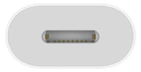 Apple Lightning Adapter - 24 pin USB-C männlich, Ansicht 4