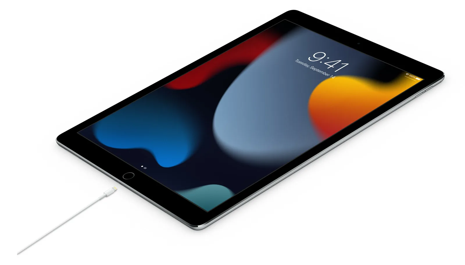 Apple Lightning-Kabel - 24 pin USB-C männlich zu Lightning männlich, Ansicht 2