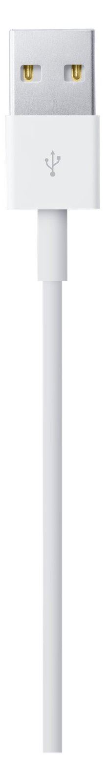 Apple Lightning-Kabel - Lightning männlich zu USB männlich - 1 m - für iPad/iPhone/iPod (Lightning) von LumaTech