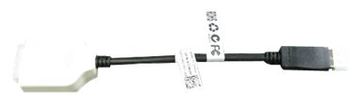 Dell DVI-Adapter - DisplayPort (M) zu DVI-D (W) von LumaTech