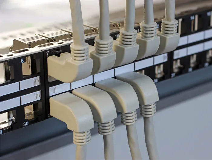 Delock Patch-Kabel - RJ-45 (M) bis RJ-45 (M), Ansicht 2