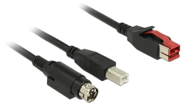 Delock Powered USB-Kabel - USB PlusPower (24 V), Ansicht 2
