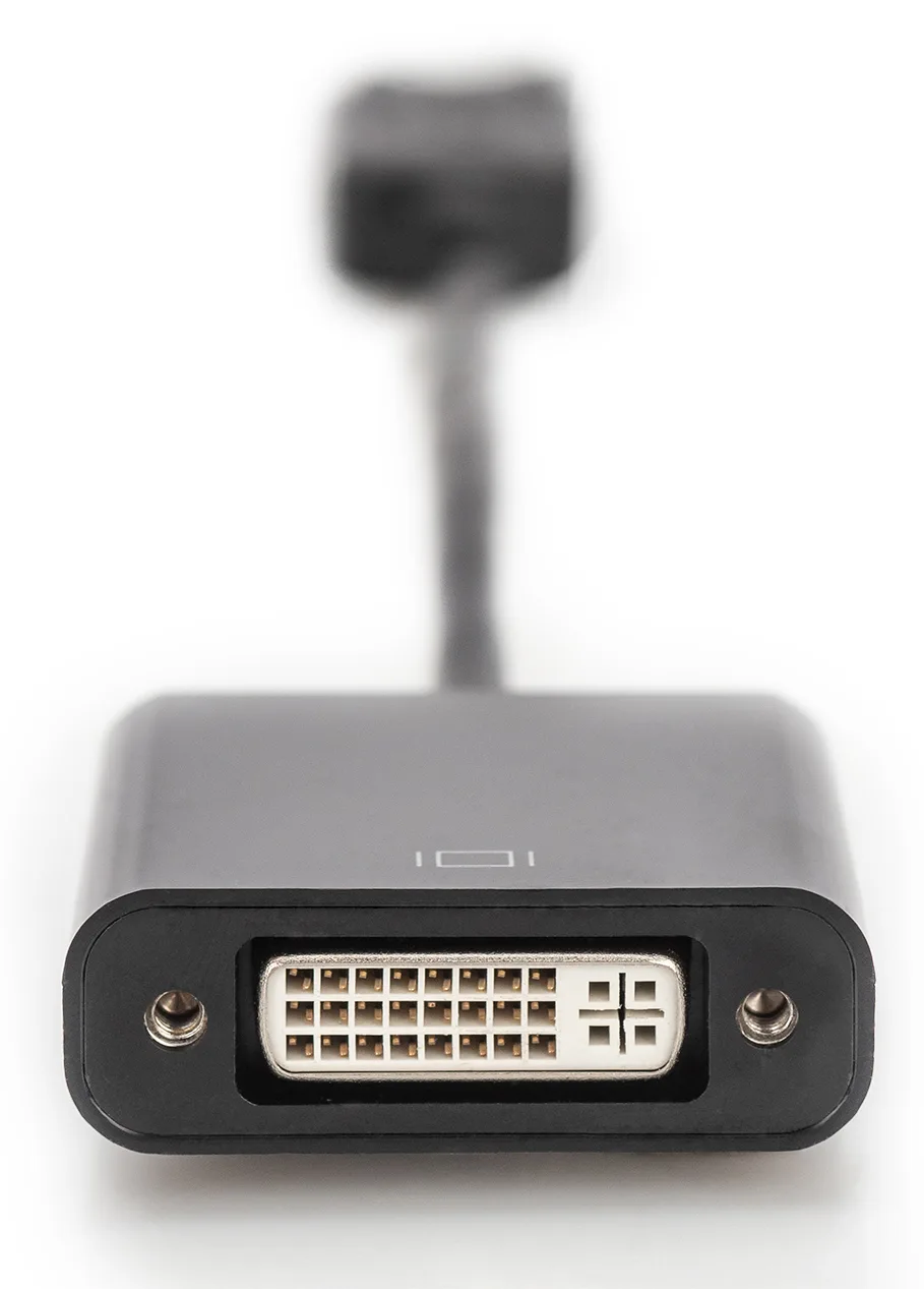 DIGITUS DisplayPort - DVI Adapter / Konverter, Ansicht 3