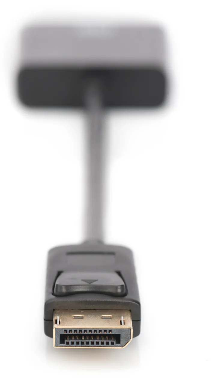 DIGITUS DisplayPort Adapter / Konverter, Ansicht 3
