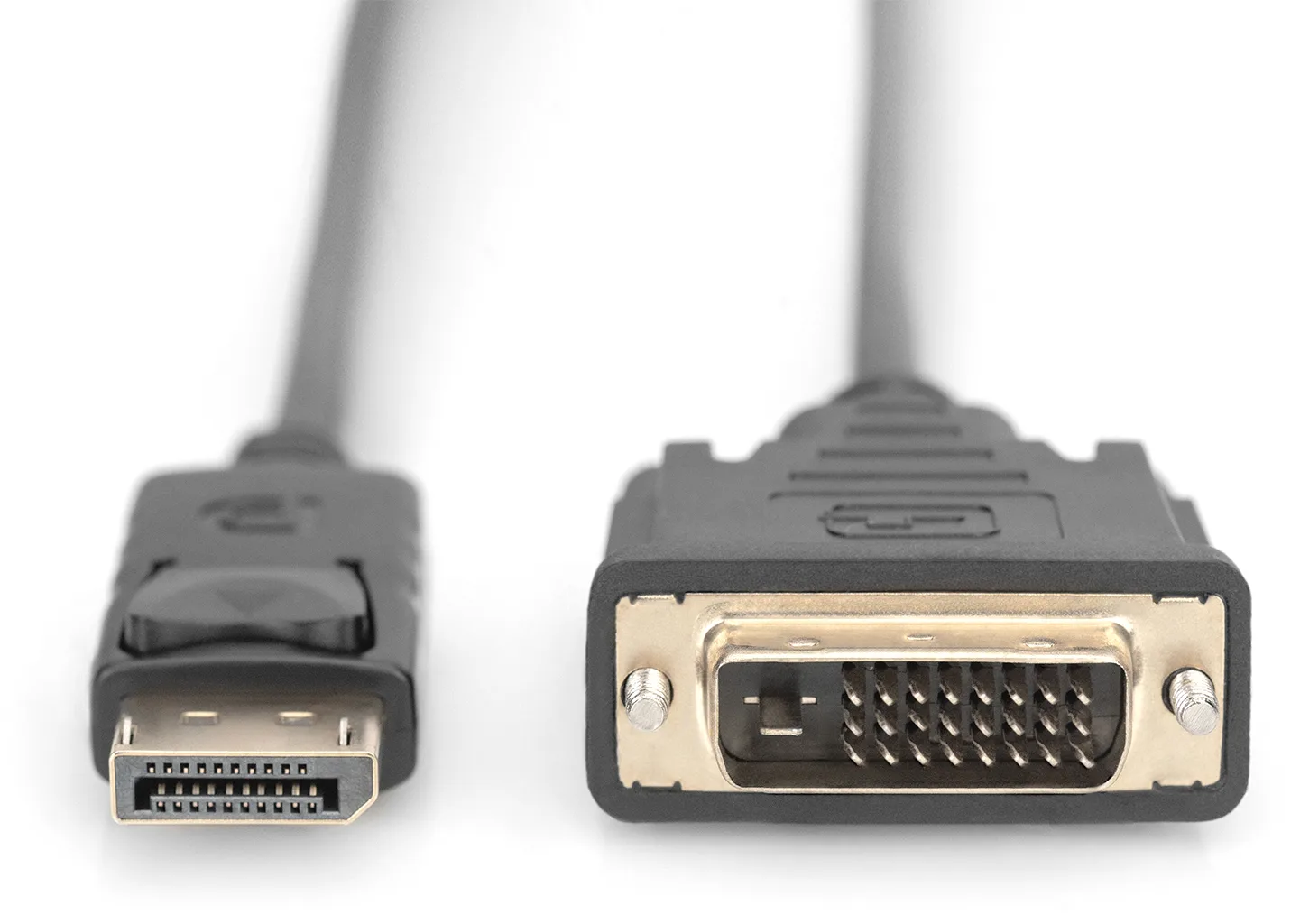 DIGITUS DisplayPort Adapterkabel, DP auf DVI-D, Ansicht 2