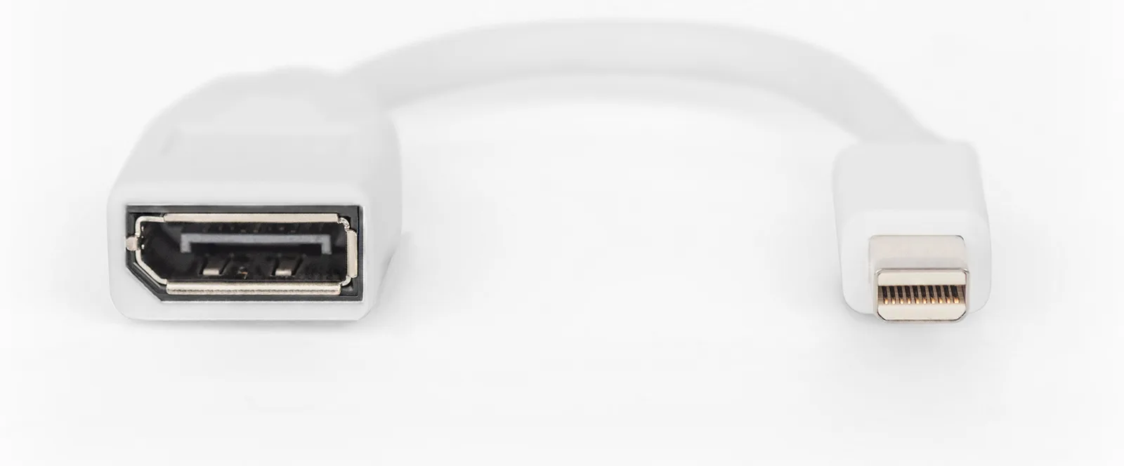 DIGITUS DisplayPort Adapterkabel, mini DP - DP, Ansicht 3