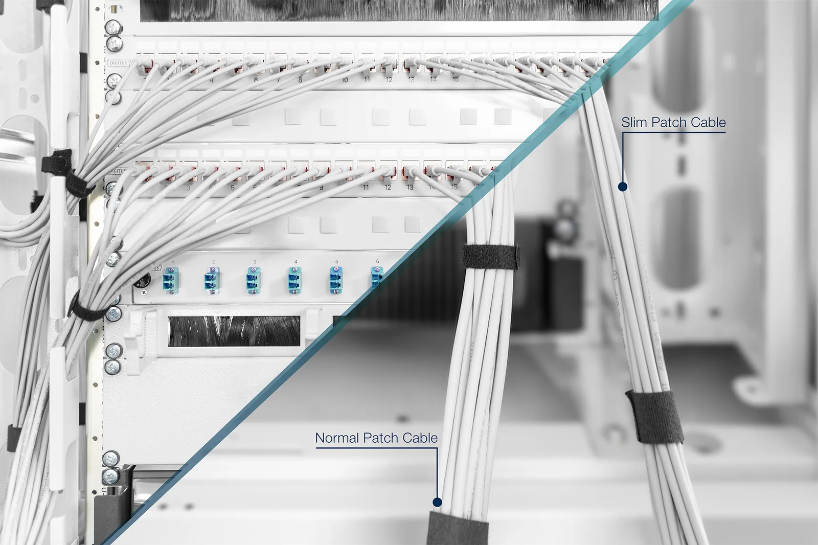 DIGITUS Slim - Patch-Kabel - RJ-45 (M) zu RJ-45 (M), Ansicht 3
