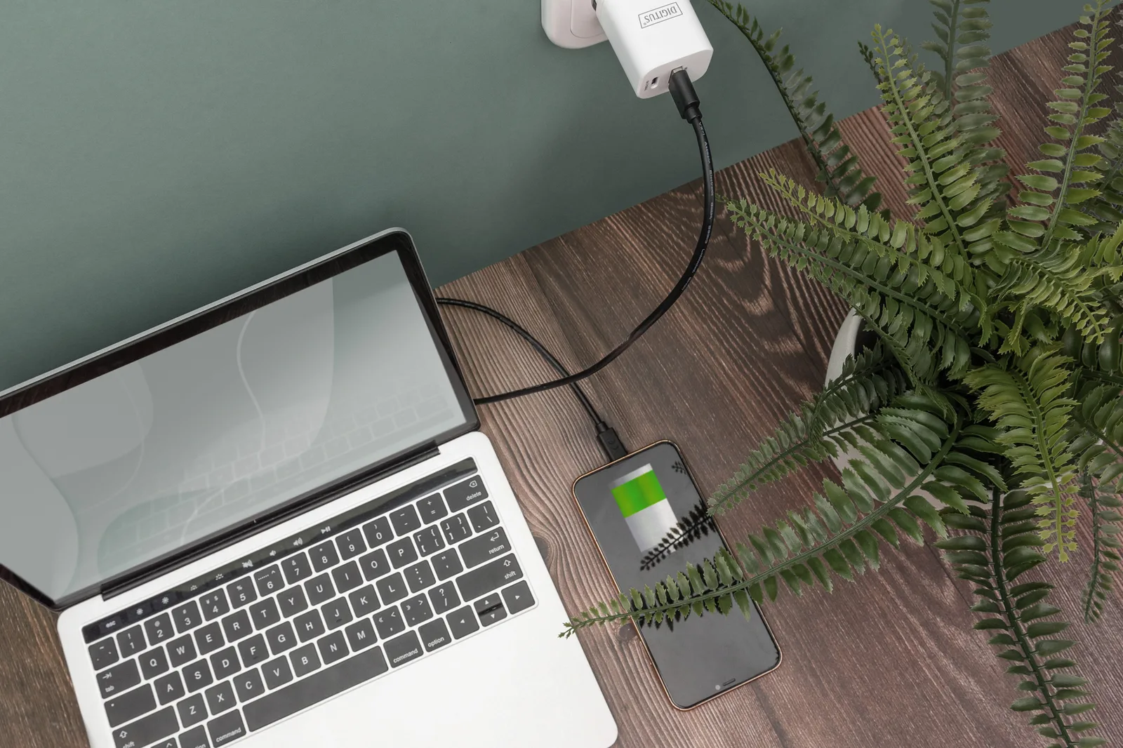 DIGITUS USB Type-C Anschlusskabel, Typ USB-A auf USB-C, Ansicht 3