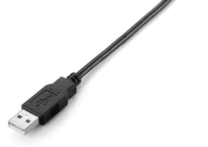 Equip USB Kabel 2.0 A-B St/St schwarz Polybeutel - Kabel - Digital/Daten, Ansicht 3