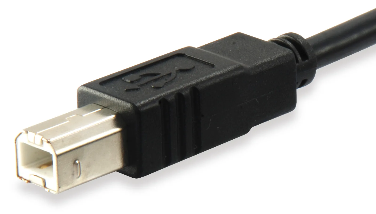 Equip USB-Kabel - USB Typ B (M) bis USB-C (M), Ansicht 2