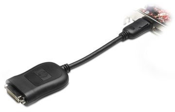 HP  DVI-Adapter - DisplayPort (M) zu DVI-D (W) von LumaTech