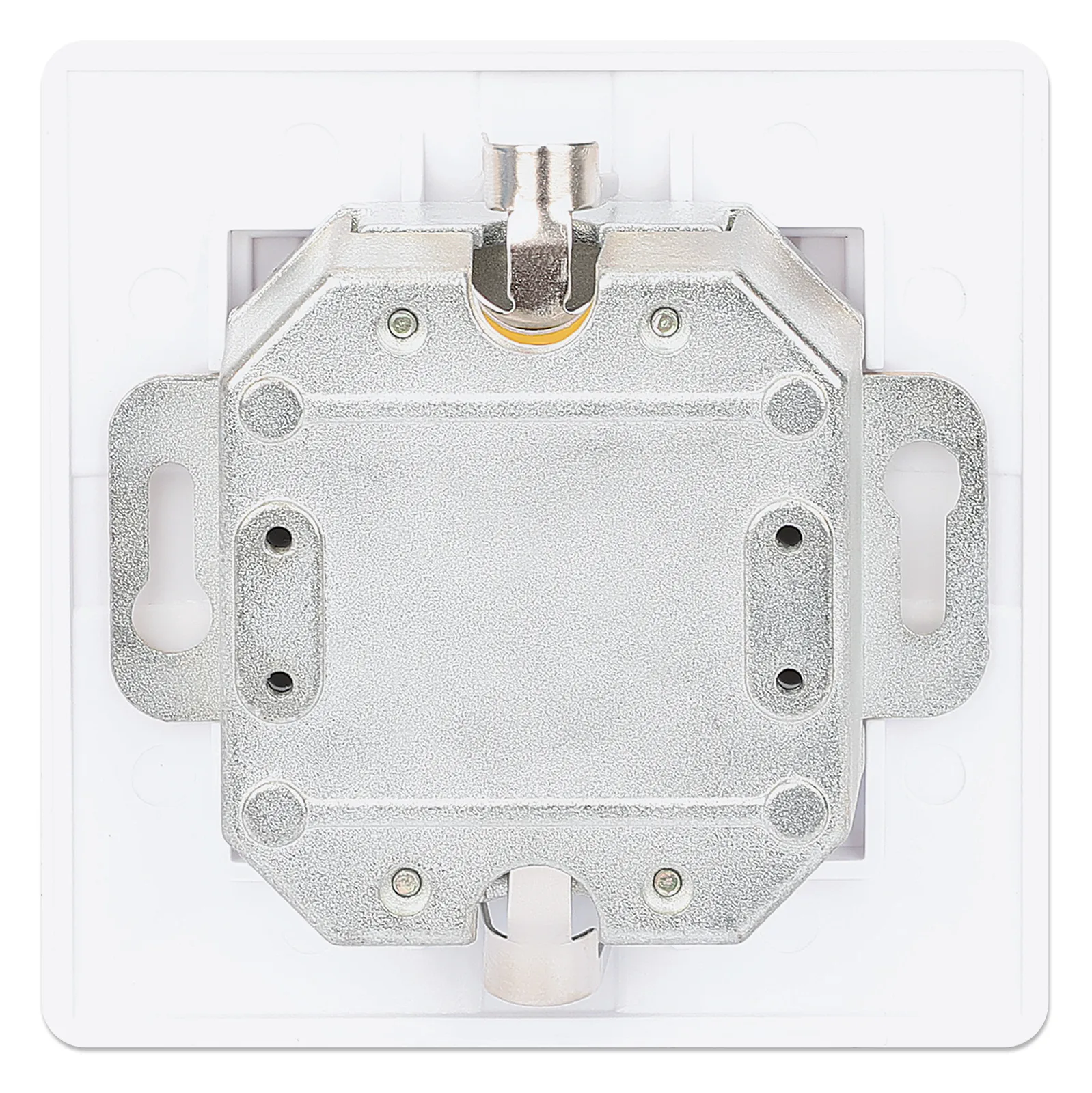 IC Intracom Intellinet - Wandplatte - Cat6a 10G - mit Beschriftungsfenster, Ansicht 2