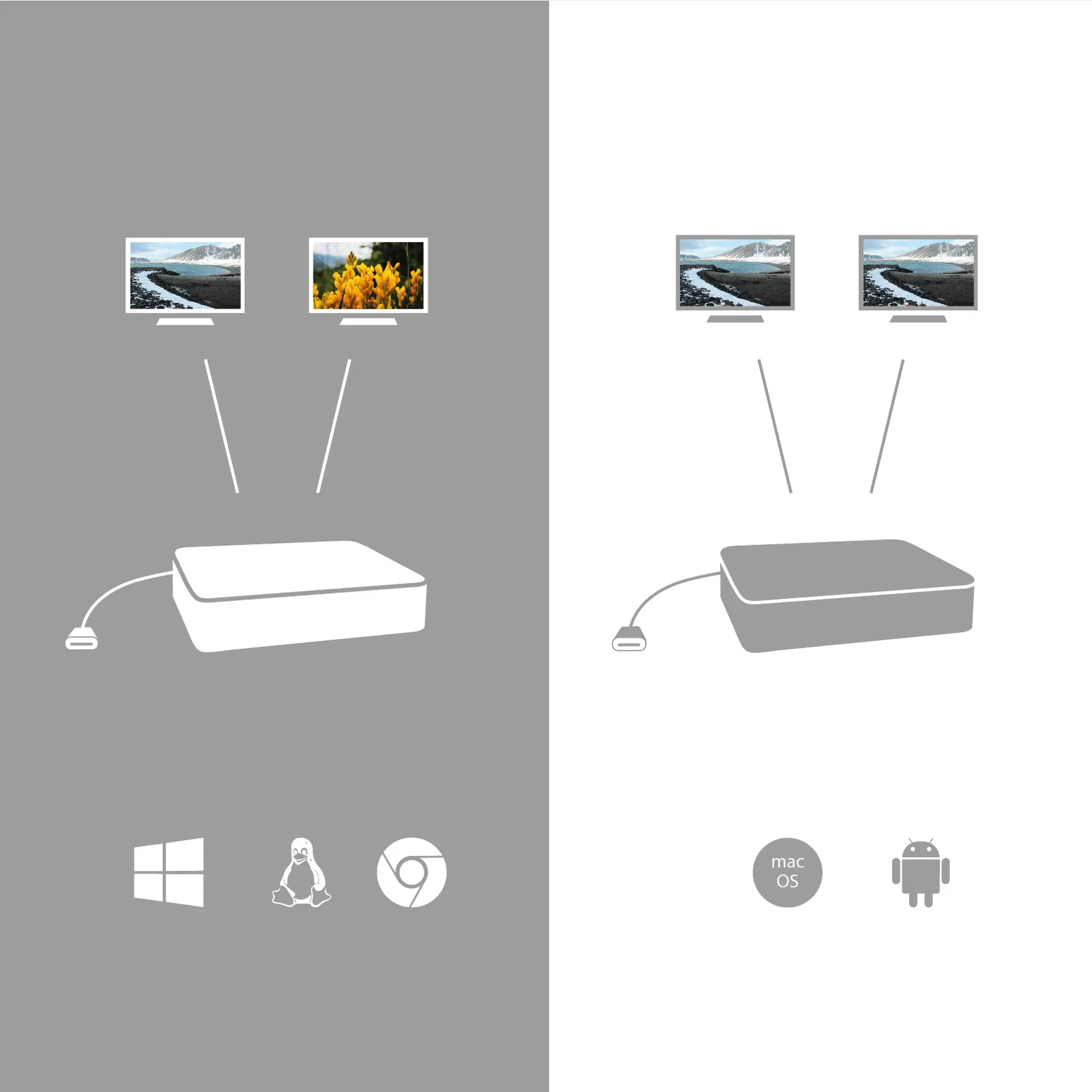 i-tec Externer Videoadapter - USB-C 3.1 - 2 x DisplayPort, Ansicht 2