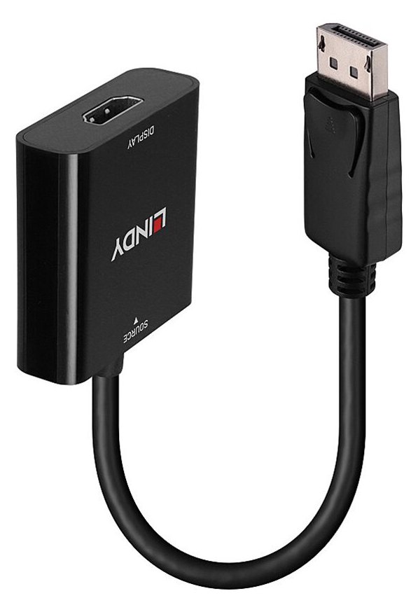 Lindy Video- / Audio-Adapter - DisplayPort (M)