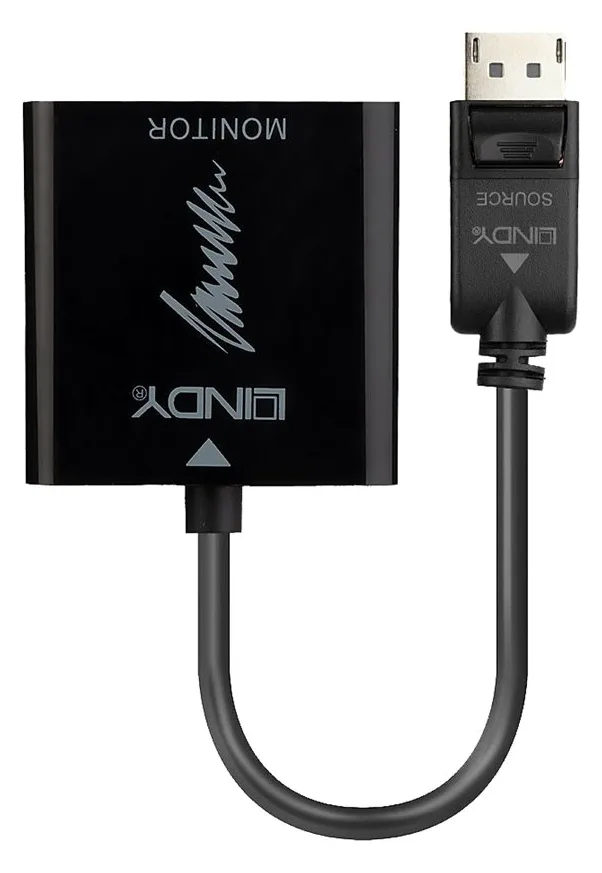 Lindy Video- / Audio-Adapter - DisplayPort (M), Ansicht 4