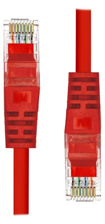 ProXtend Patch-Kabel - RJ-45 (M) zu RJ-45 (M)